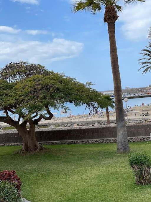Apartamento Puerto Rico - Primera Linea De Playa Mogán Esterno foto